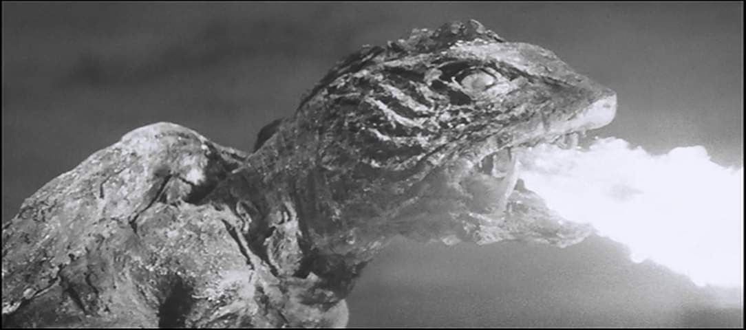 FB_IMG_1558939542202