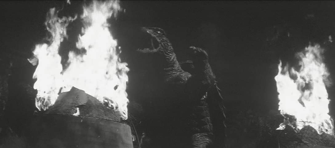 FB_IMG_1558942623514