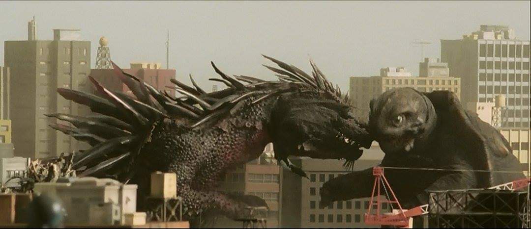 FB_IMG_1558943357617