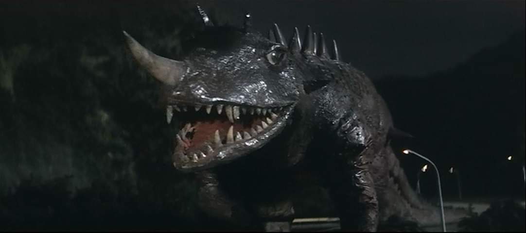 FB_IMG_1559074460774