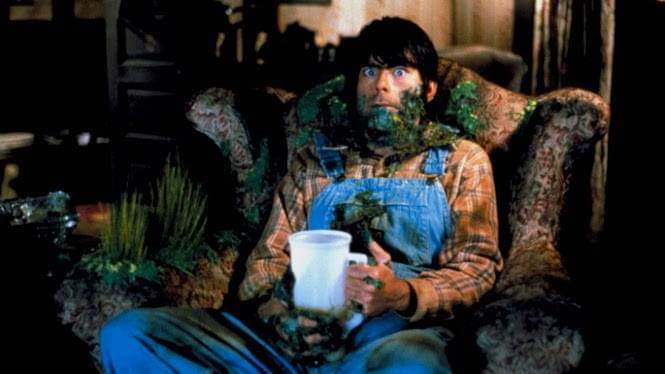 FB_IMG_1565174455898