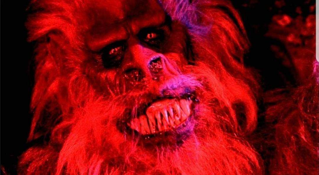 FB_IMG_1565174555217