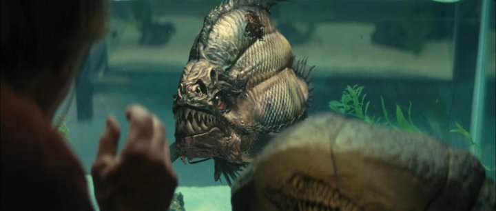 FB_IMG_1565346914093