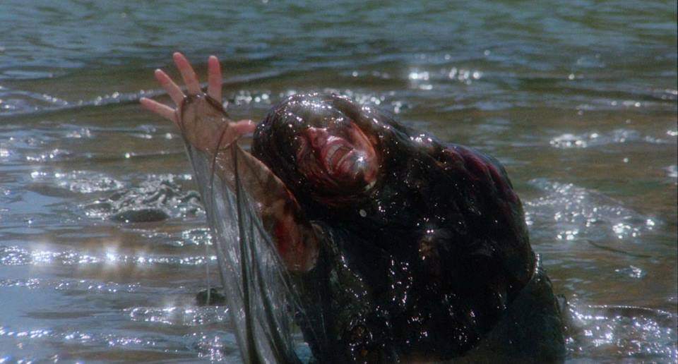 FB_IMG_1572092465509