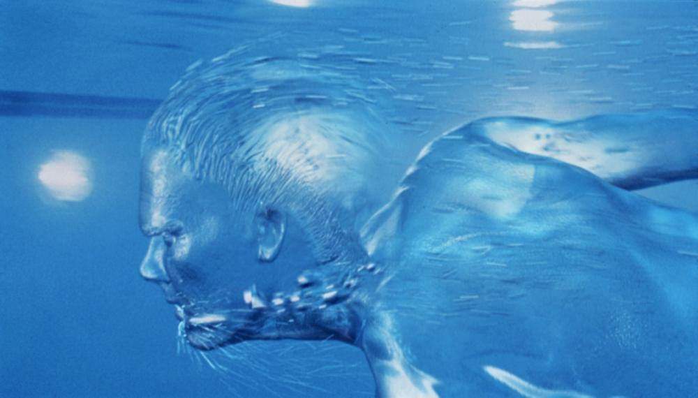 FB_IMG_1582120385144