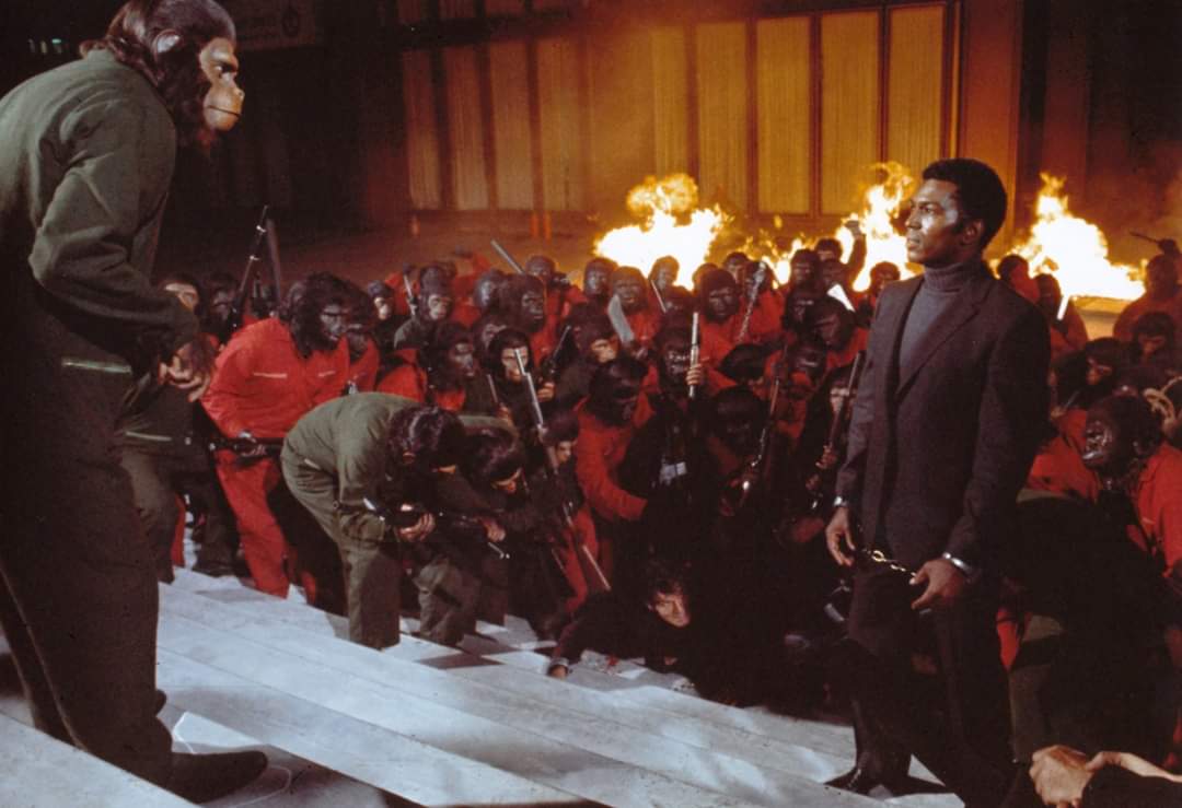 FB_IMG_1595002350390