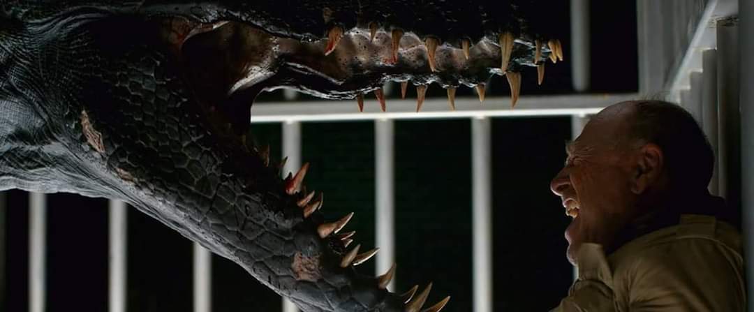 FB_IMG_1596879438387