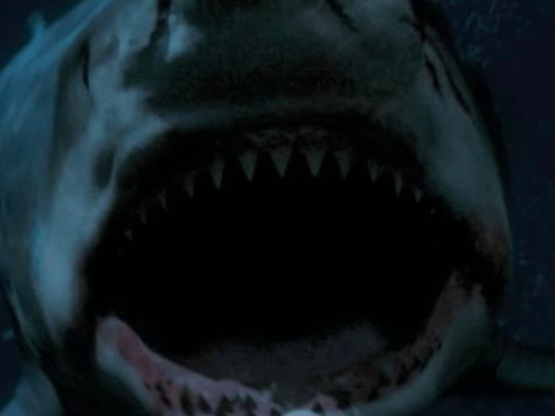 Great White Waters (2025) – Review