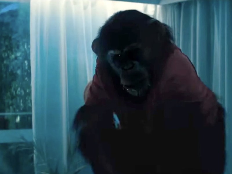 Primate (2025) – Review