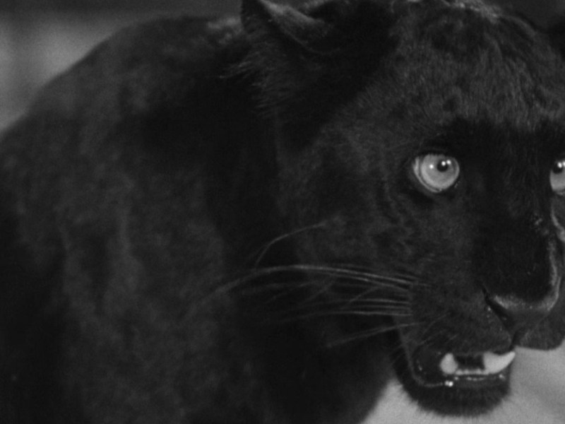 Cat People (1942) – Review