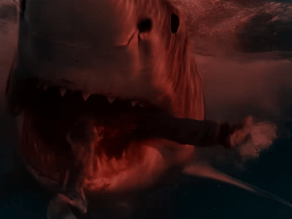 Chum – Official Trailer